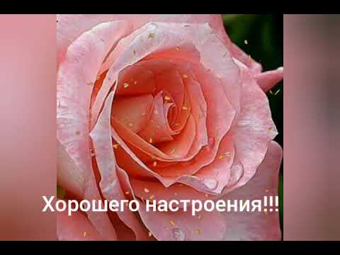 Хорошего настроения!