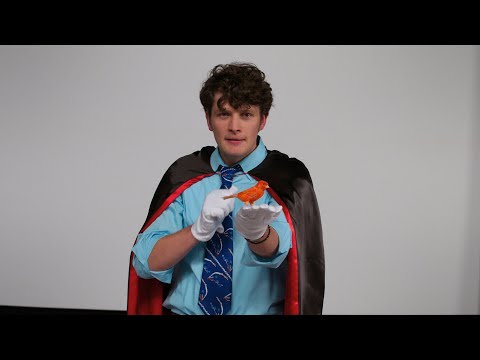 CB's Magic Saves the Birds - Schooled