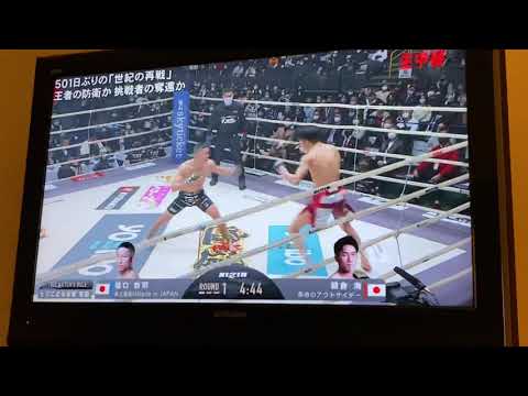 朝倉海vs堀口　カーフキック