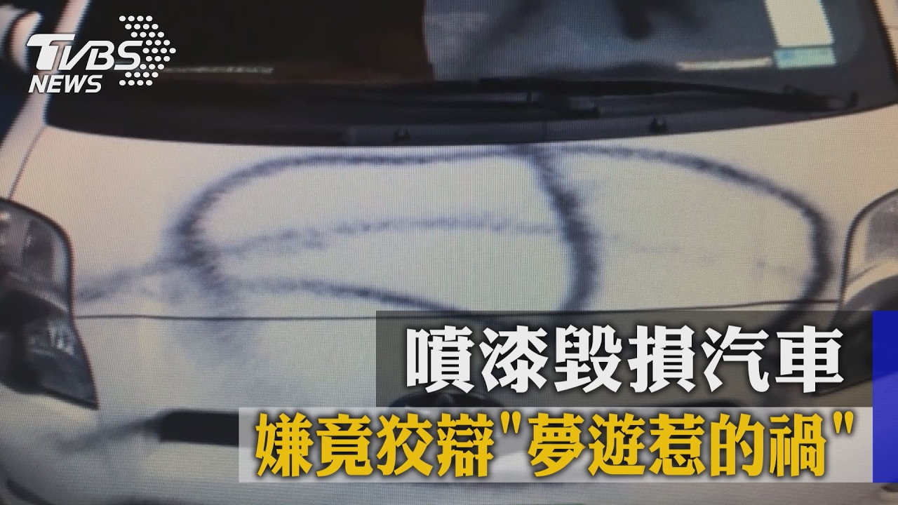 噴漆毀損汽車 嫌竟狡辯夢遊惹的禍