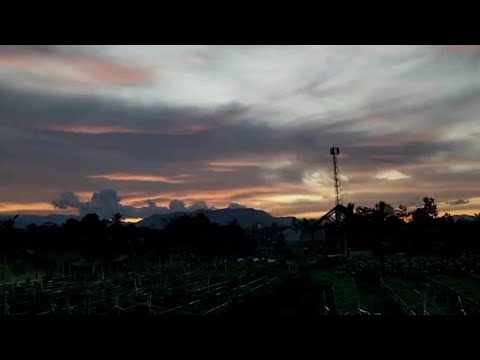 44th Music - RT Succession (Audio)