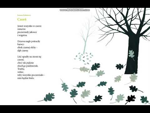 Joanna Kulmowa "Czerń".