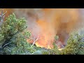 1994 South Canyon Fire On Storm King Mountain