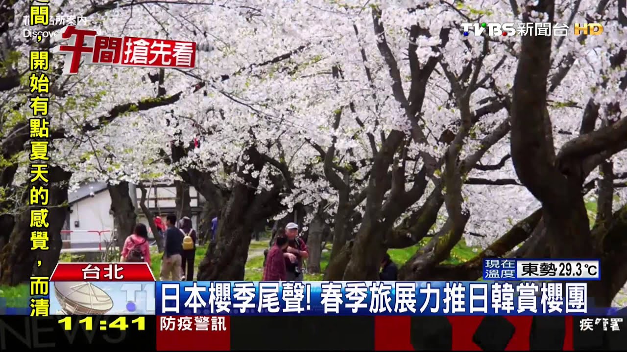 本土廉航4月開飛東京 「破盤價」搶賞櫻客