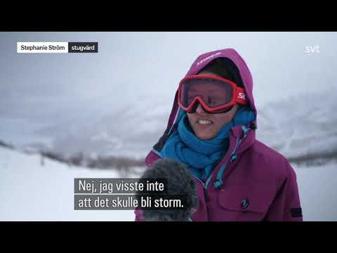 Lokala Nyheter Norrbotten   Hör överraskade stugvärden om stormen