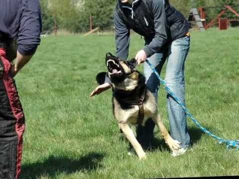 Brita - 8 years with her