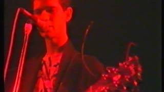 Dinarama - Especies En Extinción / Nuevo Club De Egipcios - Rock-Ola 23|12|1982