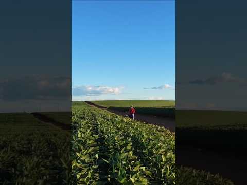 Circle DJI neo 2 em Arapongas PR