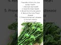 7 benefits of ferns for your body's