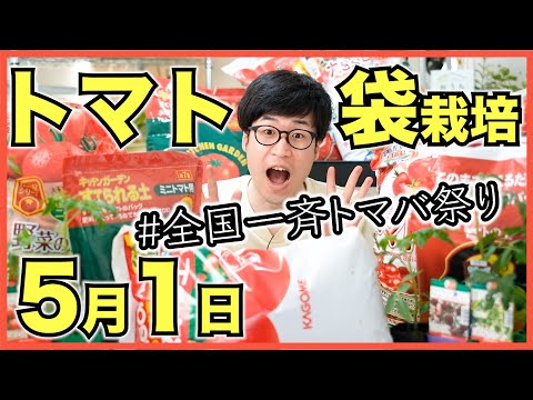 , title : '【全国一斉トマバ祭り】トマト栽培用の培養土とトマトの苗を全国一斉に5月1日に植えよう【参加者募集】'