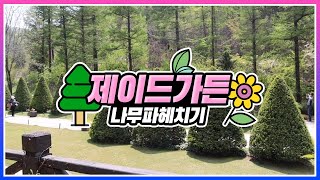 [#랜선여행 떠나기] 제이드가든 속 나무파헤치기