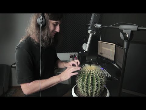 Cactus Beat