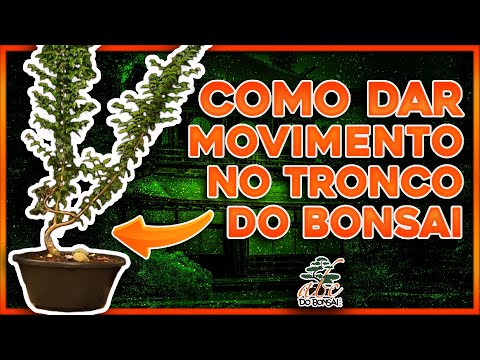COMO DAR MOVIMENTO NO TRONCO DO BONSAI - PARTE 2