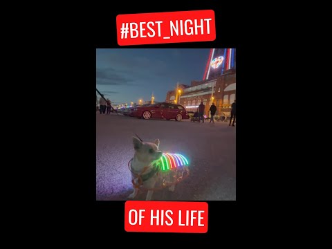 YouTube Thumbnail for Best night of his life