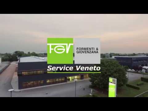 FGV Service Veneto 2019
