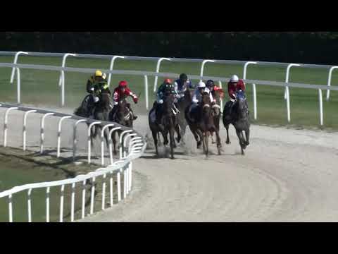 2018.09.09. 05. futam - SZABÓ JÓZSEF "PÖRI" EMLÉKVERSENY HENDIKEP (I.o.) (szintetikus pálya)