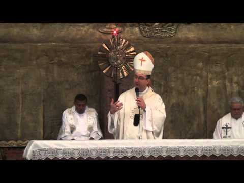 Homilia de D.Sérgio - Natividade de São João Batista - 28/06/2013