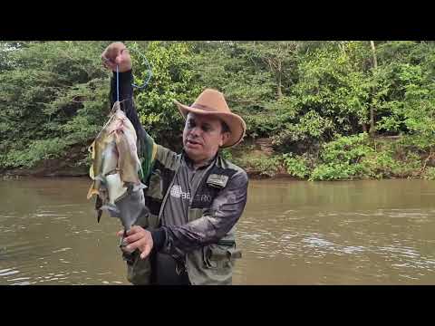 Pescaria e acampamento no Rio Maracaçumé Maranhão 