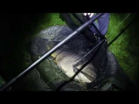 Carpkings - Mai 2014