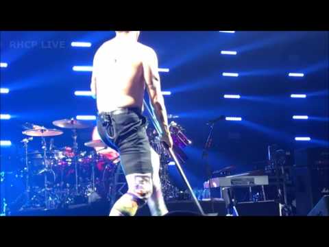 Red Hot Chili Peppers - Don't Forget Me - Columbia, SC [Multi-Cam]