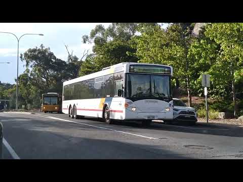 Keolis Downer Volgren Scania L94UB 14.5m 3310 and Volgren Scania L94UB 3209 at Crafers