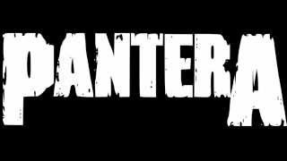 Pantera - (Reprise) Sandblasted Skin (subtitulado al español)