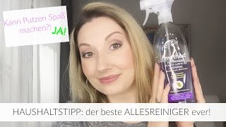 Haushaltstipp: bester ALLESREINIGER ever! | BeautyThoughtsbyAlex