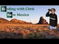 Birding in New Mexico