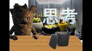 【雑談】便利なバケツとかいろいろ観葉植物棚用に電設用品買ってきたから考える配信