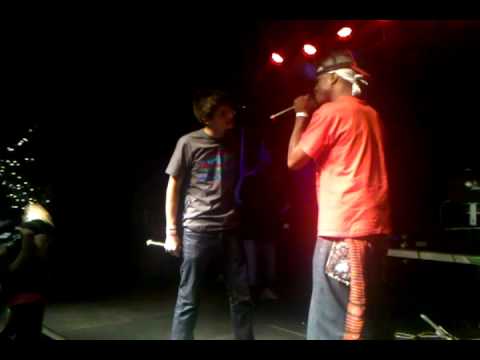 Fresco Clean vs. Dolphin tooth