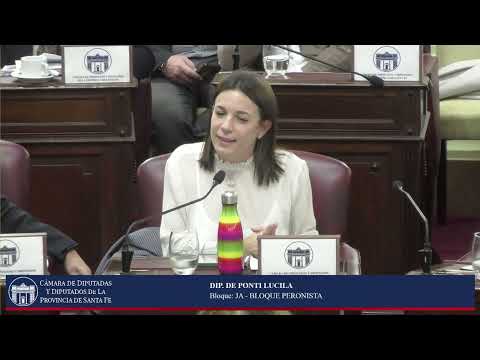 INTERVENCION DIPUTADA DE PONTI LUCILA - SESIÓN ORDINARIA Nº09 -PERIODO ORDINARIO 144º - 04/06/26