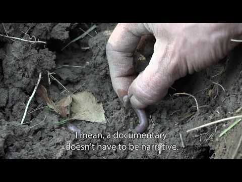 Kinoklub Zagreb and the Cinematic Experiment