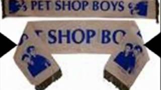 PET SHOP BOYS THE SURVIVORS