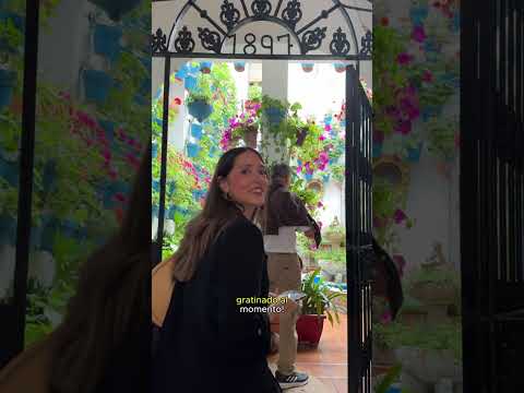 Planazo de PATIOS + TABERNA en CÓRDOBA