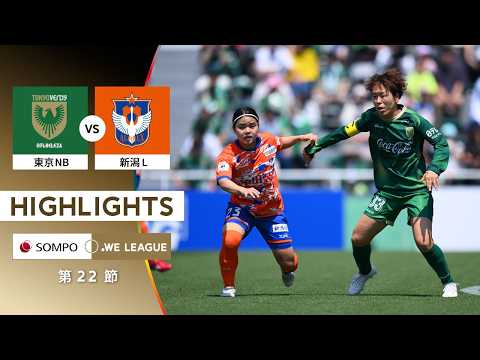 bg-highlight