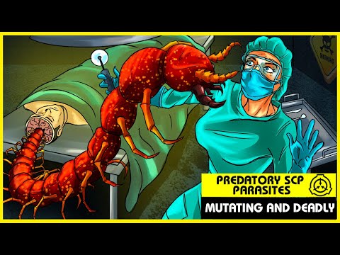 Predatory SCP Parasites (SCP Orientation Compilation)