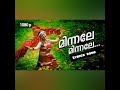 Minnale Minnale Lyrics Song Malayalam Movie Vesham