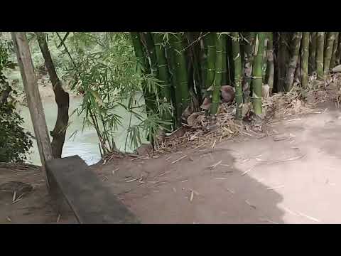 Cachoeirinha santa barbara de Goiás 🇧🇷