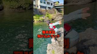 難易度別【アクロバット飛び込み】LEVEL 1〜100
