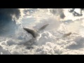 Blackalicious -- Aural Pleasure 