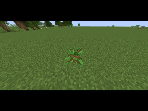 Planting 20 million trees in minecraft