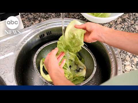 Iceberg lettuce supplier possible source of parasite outbreak: FDA
