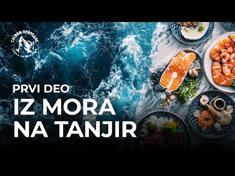 SASVIM PRIRODNO: Iz mora na tanjir 1. deo