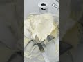 The SECRET To Perfect Vanilla Buttercream Shorts Buttercream Ream Frosting