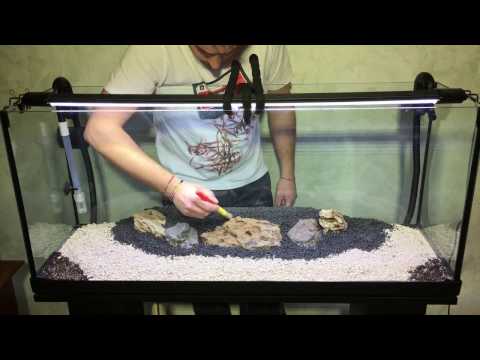 tutorial allestimento acquario aquarium