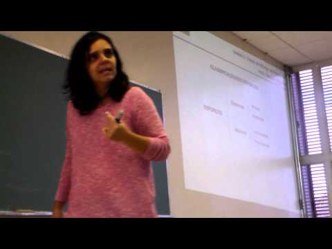 Aula 1.1 glau MecSoL