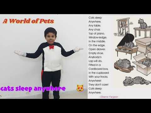 Cats Sleep Anywhere by Eleanor Farjeon /poem recitation/A world of pets/poem with action/kids rhymes