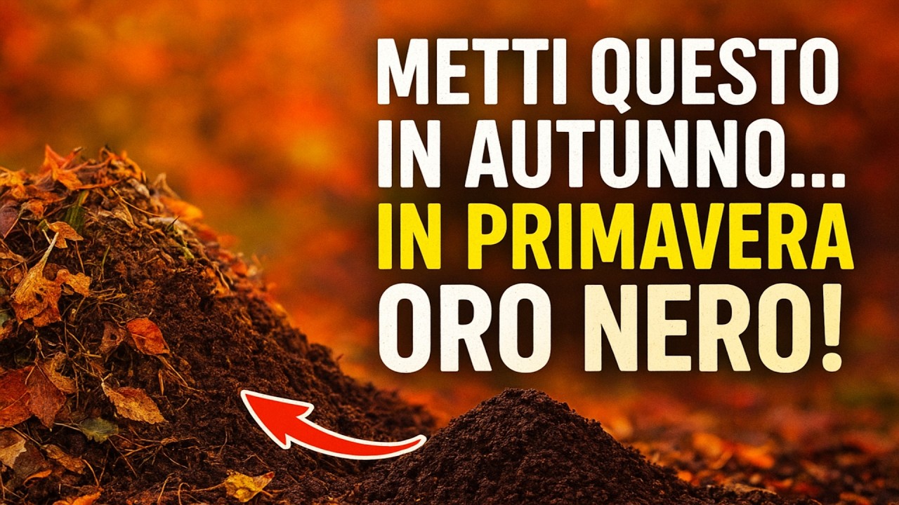 Metti semplicemente questo in un mucchio in autunno e, in primavera, ti ritroverai con una tonnella