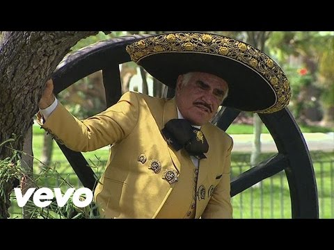 Que Bonito Milagro - Vicente Fernández