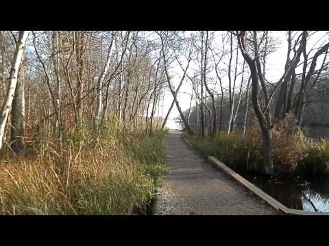 MongoTV_153 - Del 3 - Gåtur - Fremme Ved Mølleåen Og Bro Over åen